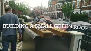 Building a green roof