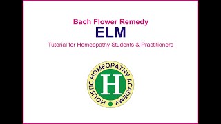 Bach Flower Remedy Elm