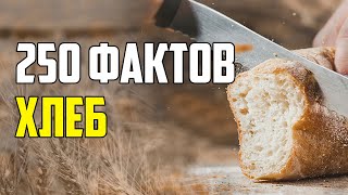 250 ИНТЕРЕСНЫХ ФАКТОВ ПРО ХЛЕБ