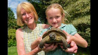 Hermes the tortoise returns home after going missing since September  .