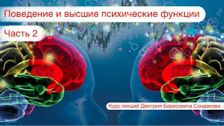 Лекция 25. Поведение и высшие психические функции (часть 2)