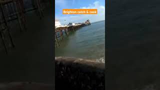 #seafishing #catchncook full video on the channel blud #brightonpier