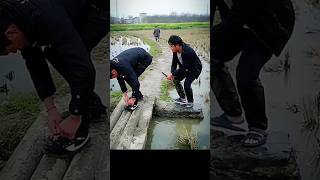 #shortsvideo #funnyshorts        😀|#funny  #viral #tiktok @mjeditroom#shorts