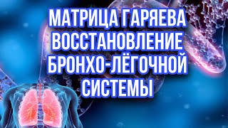 МАТРИЦА ГАРЯЕВА. ВОССТАНОВЛЕНИЕ БРОНХО-ЛЁГОЧНОЙ СИСТЕМЫ.