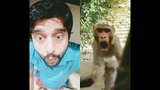 Attacks Monkey #mankey #monkey #monkeyman @ARYDigitalasia @Vibes2k50 @ChuChuTV #youtubeshorts