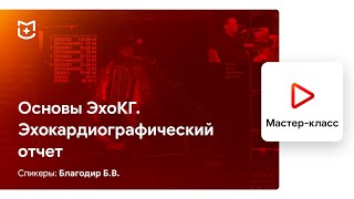 Основы ЭхоКГ. Эхокардиографический отчет. Благодир Б.В.