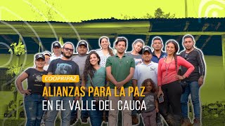 ¡Alianzas 🤝 por la Paz 🕊 en el Valle del Cauca!