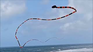 Passeio na Praia de Quiaios - Figueira da Foz - Festival Internacional de Papagaios