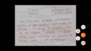 Cell cycle check point pathway