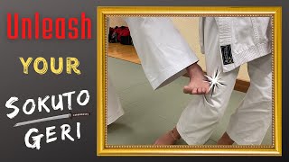 Sokuto Geri - 10 Minute Tutorial