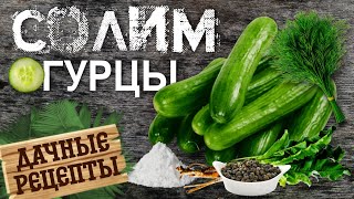 Солим огурцы | Дачные рецепты | папин рецепт по солениям | вкусный и просто рецепт