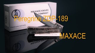 Peregrine от Maxace Knife  #4k