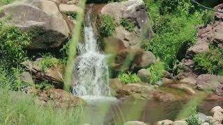 Natural Waterfall Ambience - 30 Minutes of Water Sounds for Meditation and Sleep