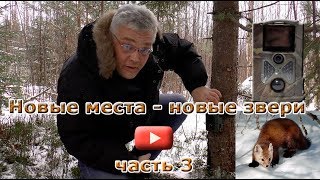 Установка фотоловушки Филин 120. "Новые места - новые звери". Часть 3