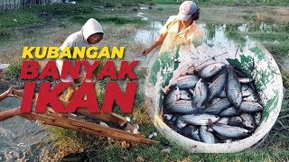 Menangkap Ikan di Kubangan Kecil Banyak Ikan dengan Ayakan Pasir