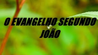 A BÍBLIA NARRADA E LEGENDADA  O EVANGELHO SEGUNDO JOÃO