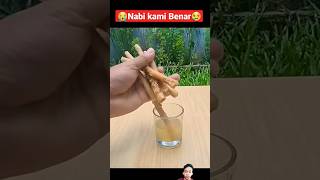 bukti kebenaran nabi Muhammad Saw tentang kayu siwak #pesannabi #faktaunik #kisah #rosulullah