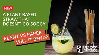 Will it Bend? Agave Plant Based Drinking Straws