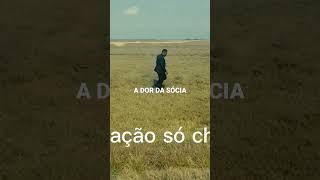 A dor da sócia