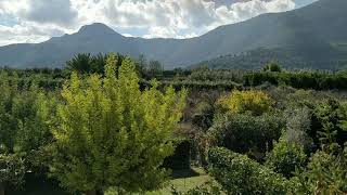 Country Finca for sale Parcent,, Jalon valley, North costa Blanca ❤️☀️🇪🇸🏡