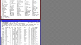 openldap server on openbsd 5.3 (2/2)