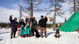 Большая любовь семьи оленеводов Вокуевых. | Изьватас олэм