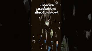 ചിറക്കൽ കാളിദാസൻ മീനാട് ഗണപതി വിഷു പൂരം സ്പെഷ്യൽ #pooram #elephant # chirakkal kalidasan