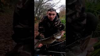 Pike on savage gear 4play lip lure