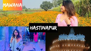 Hastinapur | Mahabharat vlog | Jain Mandir | Meerut | Mawana | Mosi ka Ghar  | Family vlog | Kids