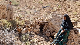 Iran's nomadic life: Maryam and Jahangir's effort to build a new house for chickens