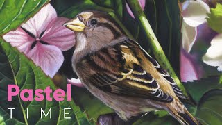 Sparrow in Hydrangea in Soft Pastel - Timelapse