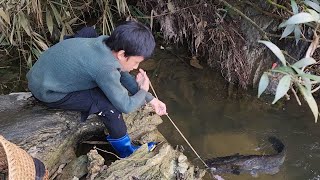 Primitive fishing skills, orphan boy  catches catfish with parachute rope, 12kg of catfish for sale