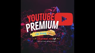 Đăng ký tài khoản Youtube Premium giá rẻ nhất, chỉ bằng ổ bánh mì