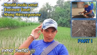 Cara TREATMENT media semai tanaman Cabe PART I