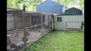 Our homebuilt coop!