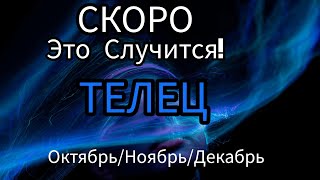 ТЕЛЕЦ♉️ОКТЯБРЬ/НОЯБРЬ/ДЕКАБРЬ 2024🔴4 квартал года.Главные события периода.Таро гороскоп/прогноз