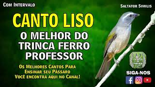 Canto LISO -- O Melhor do #trincaferro Professor EDITADO