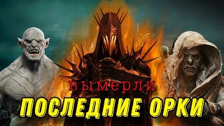 Что случилось с ОРКАМИ после войны кольца? | Властелин колец