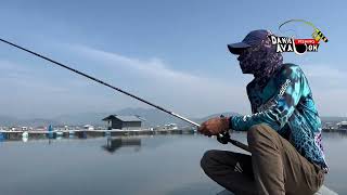 Mancing Toman Boncos Angin Besar banyak Eceng Gondok #toman #cirata #mancingtoman