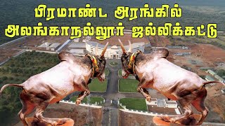 அடங்கமறுத்த  காளைகள், துள்ளி எழுந்த இளைஞர்கள்...! Alankanallur Jallikkattu 2024