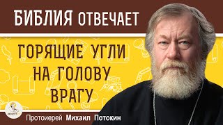 ГОРЯЩИЕ УГЛИ НА ГОЛОВУ ВРАГУ (Рим. 12:20).  Протоиерей Михаил Потокин