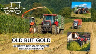 Maishäckseln mit 2 Steyr CVT und 2 Case CVX | Maisernte 2024 | Kemper Champion 3000 | Agriculture