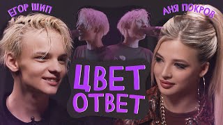 ЕГОР ШИП: первая встреча с Аней, скандал на Песне Года и хайп с BTS | ЦВЕТОТВЕТ с Аней Покров!