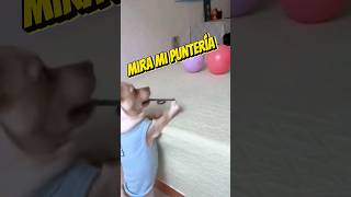 Lo que hace este perrito es increíble  #viral #parati #fyp #shorts #dog