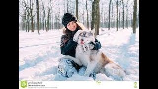 A boy palying with  dog/Dog sliding on ice #shorts #beautyofnature #dog #pets #cutedog #cutepets