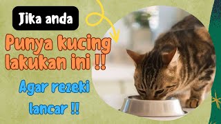 Agar rezeki lancar‼️ lakukan ini juga pada kucing