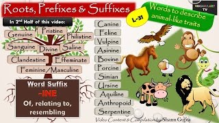 Word Suffx: INE and derived words Illustrated ( Vocabulary L-31)