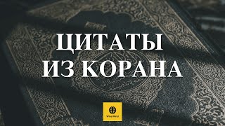 Цитаты из Корана: мудрость от Аллаха