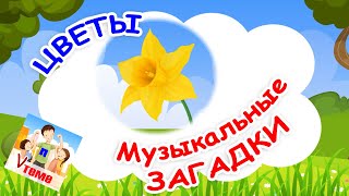 ЦВЕТЫ 1. Музыкальные загадки для детей. Папа V теме