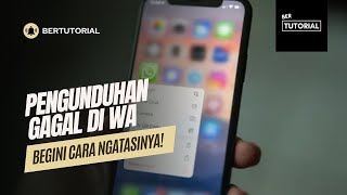 Cara Mengatasi Pengunduhan Media Gagal di Whatsapp Terbaru 2024